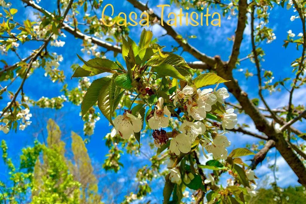 Casa Tatisita Buhardilla Apartment เซกูรา เดลา เซียร์รา ภายนอก รูปภาพ